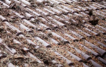 Hollis Green roof cleaning companies