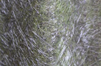 Hollis Green fibreglass roof work